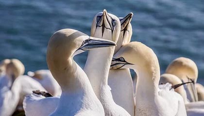 昌都高价上海医保提取2025的最新政策(2025年昌都上海医保怎么提取现金分享)